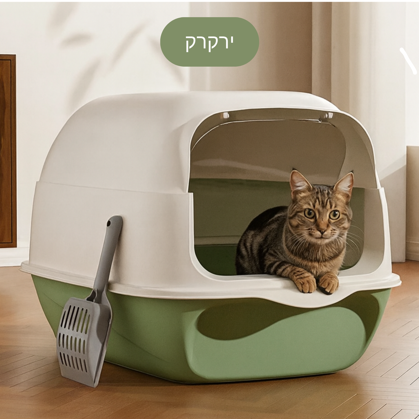 ארגז חול מצוב - וסגור!