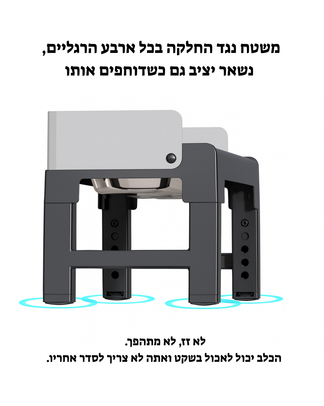 תחנת האכלה מתכונת – אוכל ומים לכלבים