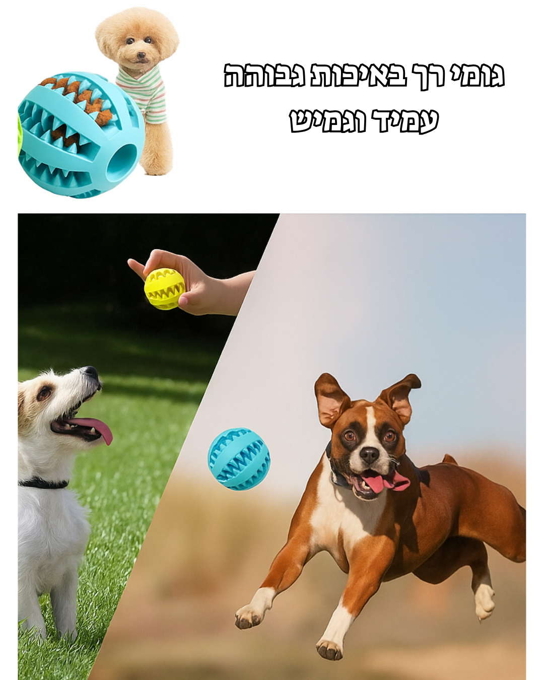 צעצוע האכלה בצורת כדור