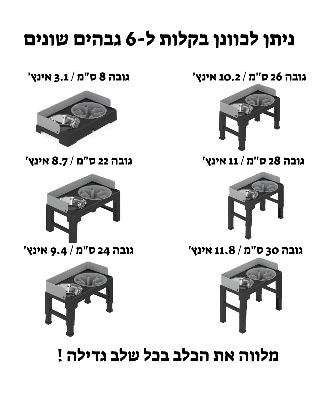תחנת האכלה מתכונת – אוכל ומים לכלבים