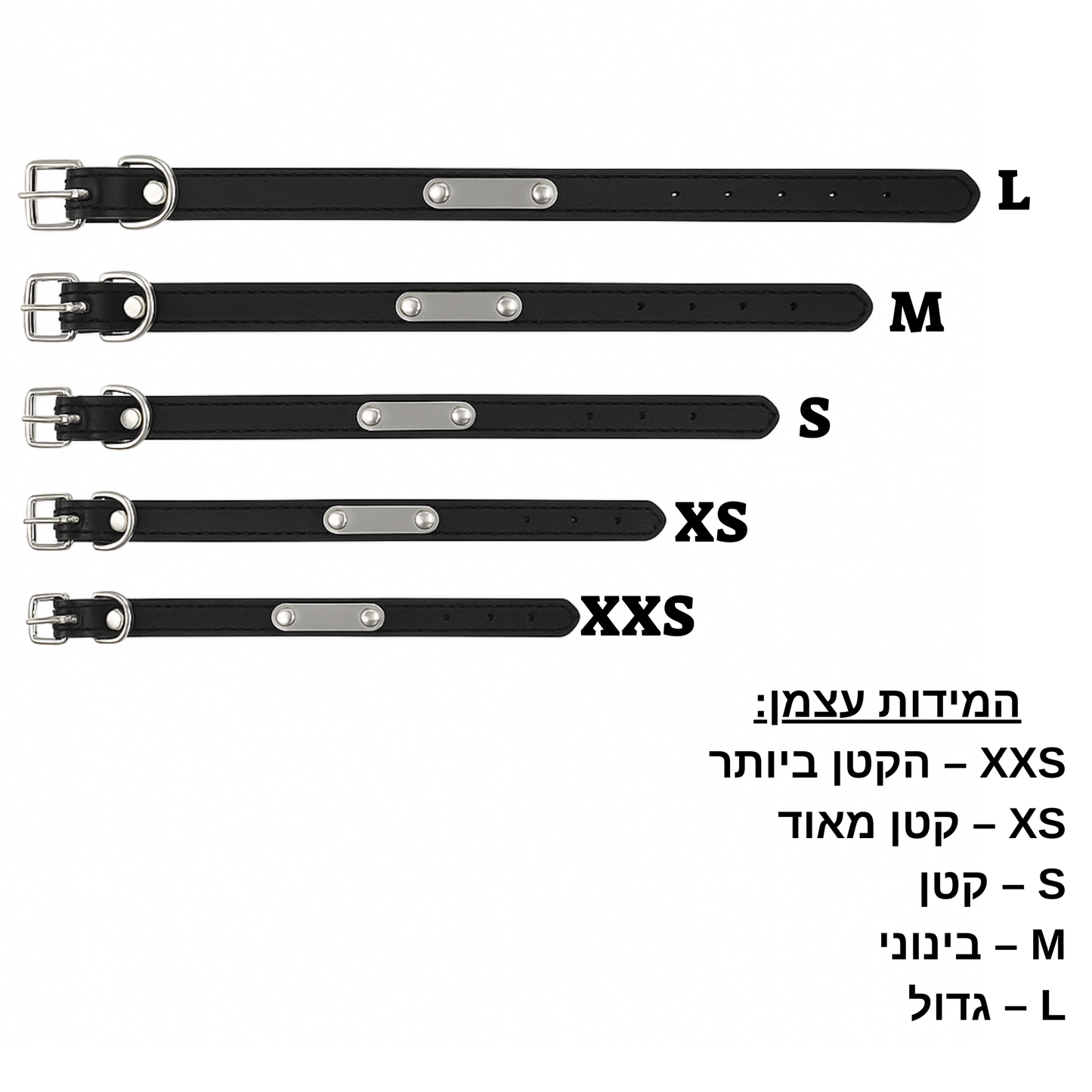 קולר בעיצוב אישי לכלבך אישי אישי אישי