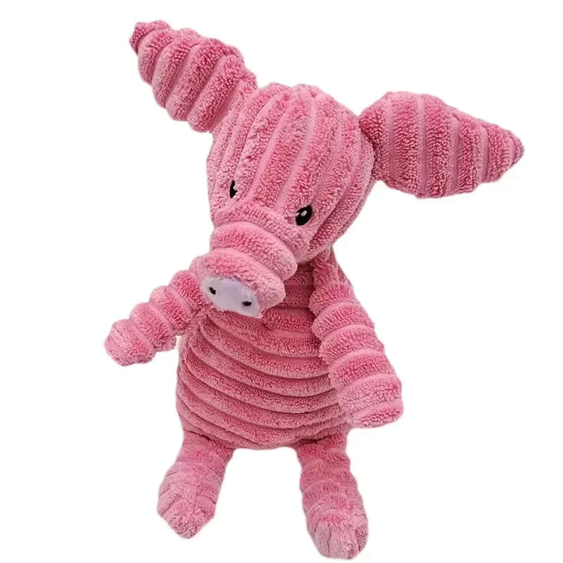 צעצוע -הכניסה הראשונה לבית