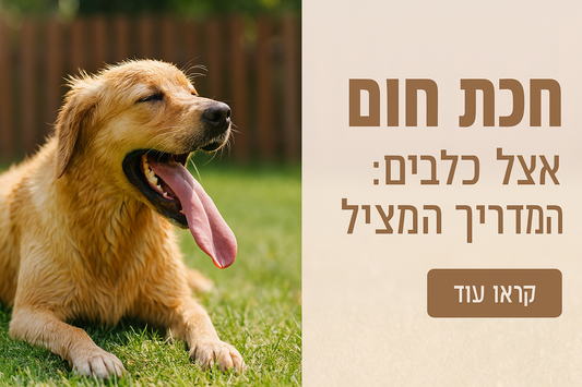 מכת חום אצל כלבים: המדריך המציל
