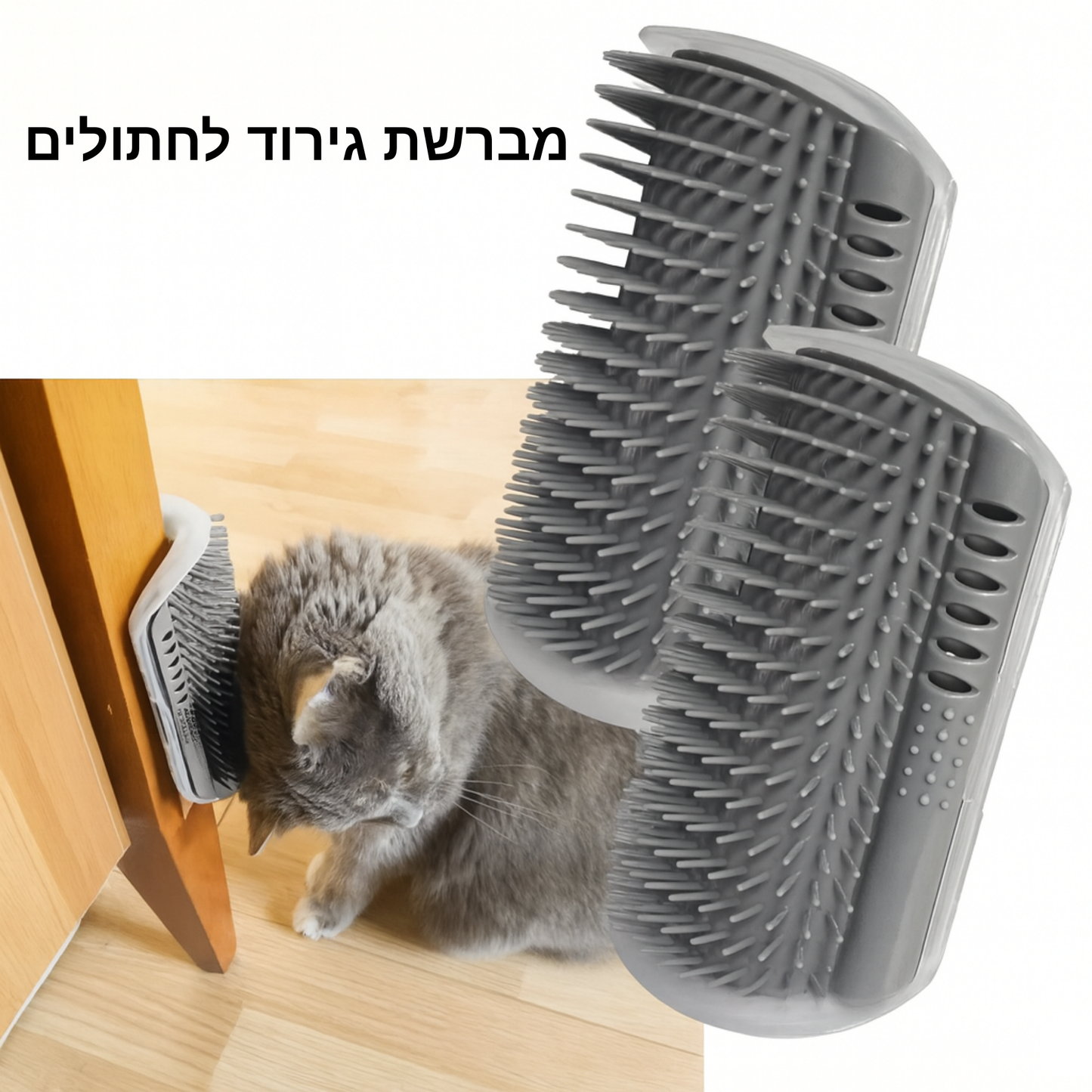 מברשת קיר 