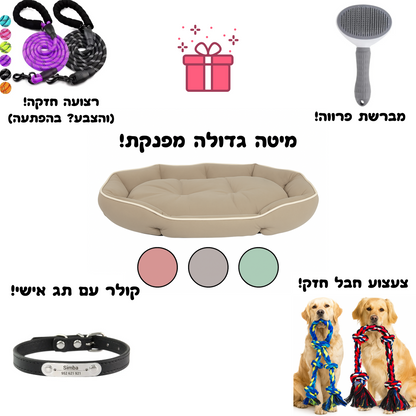 חבילת פרימיום לכלל בינוני