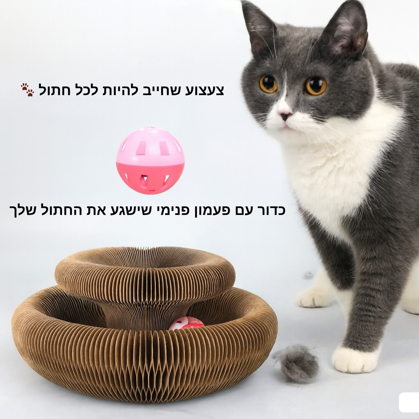 לוח גירוד לחתולים 