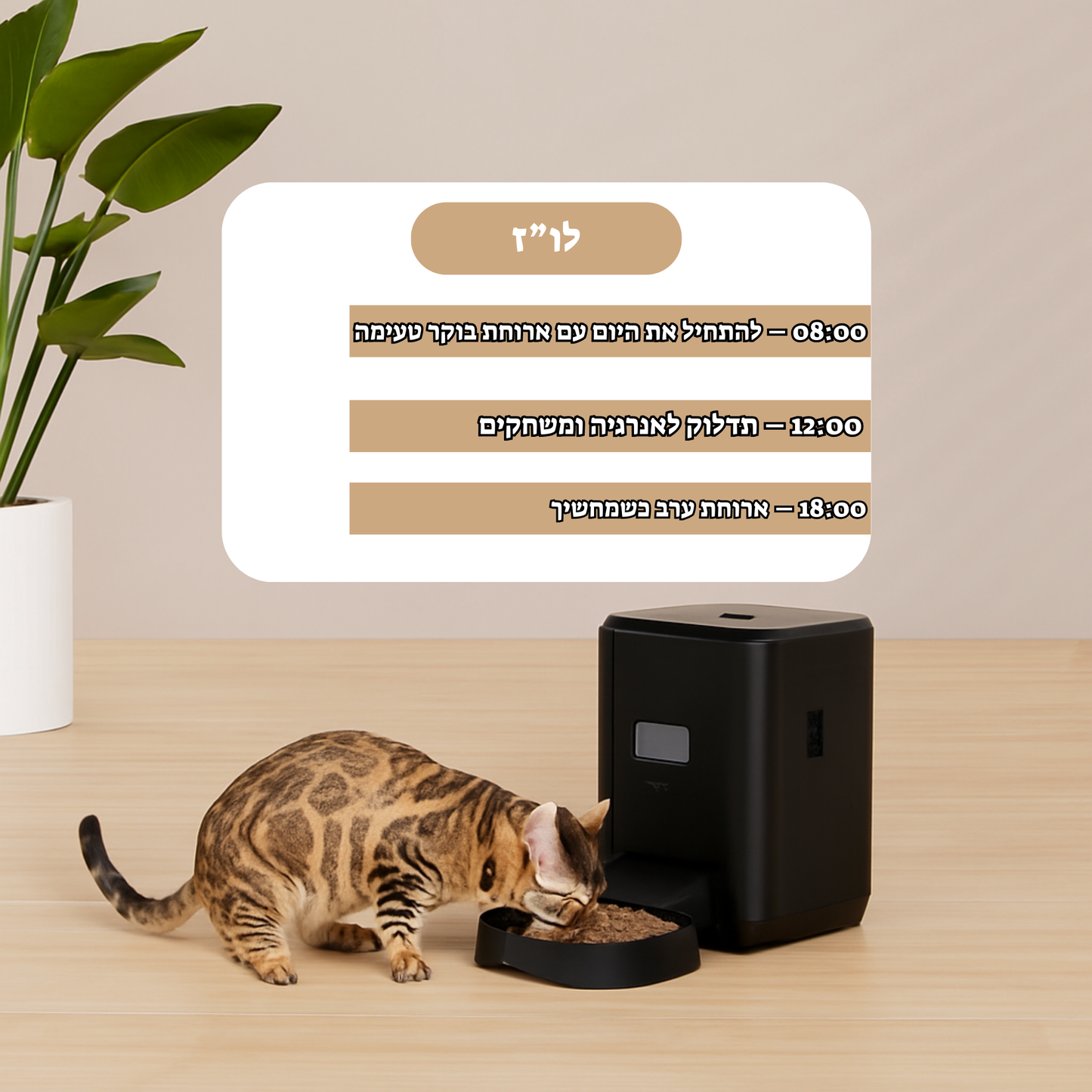 מתקן מזון אוטומטי חכם עם שליטה מהאפליקציה 