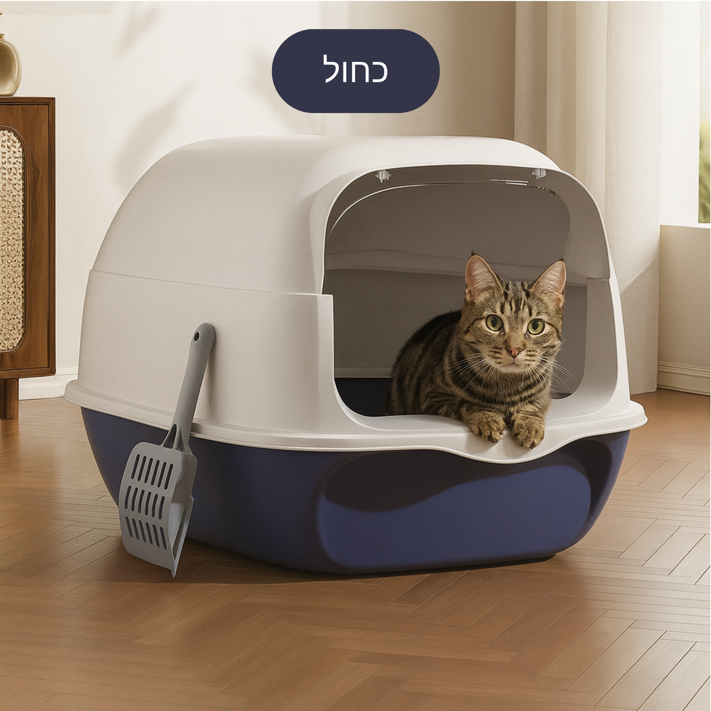 ארגז חול מצוב - וסגור! 