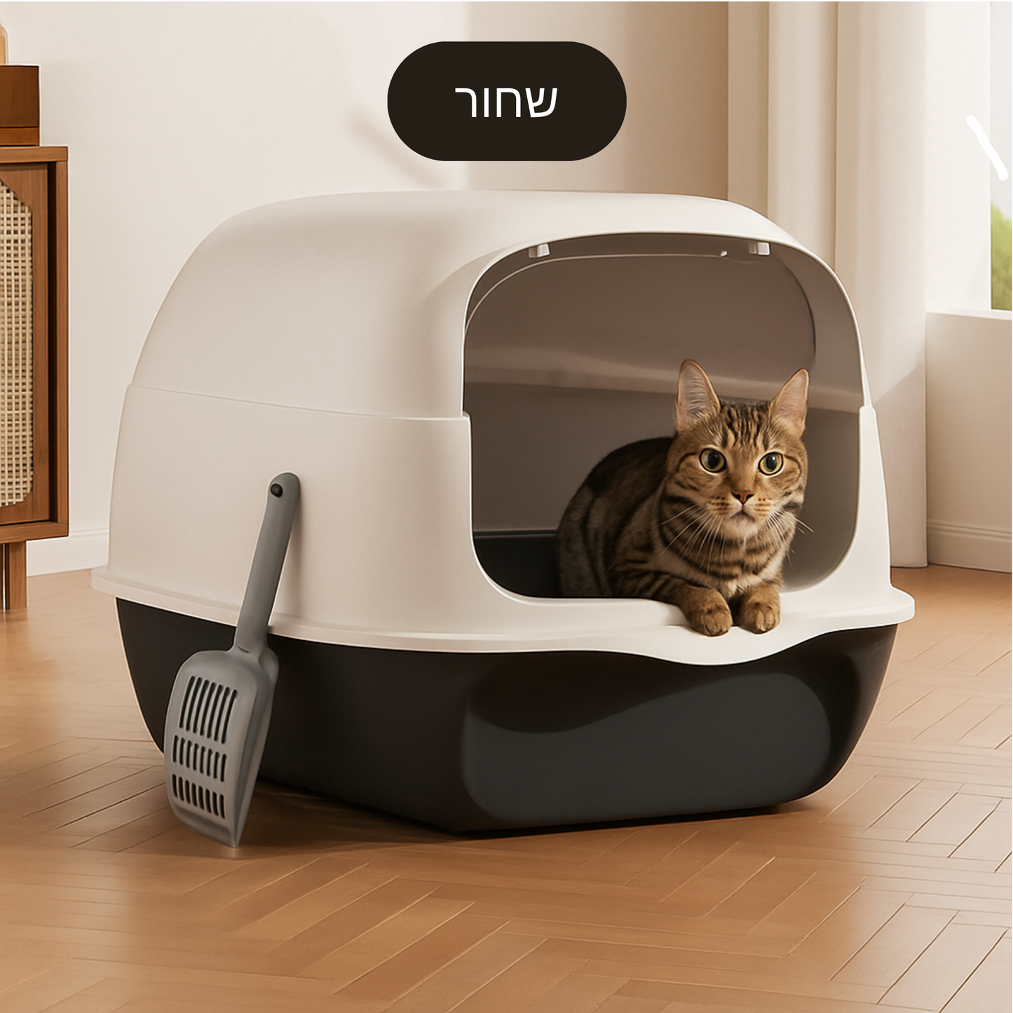 ארגז חול מצוב - וסגור! 