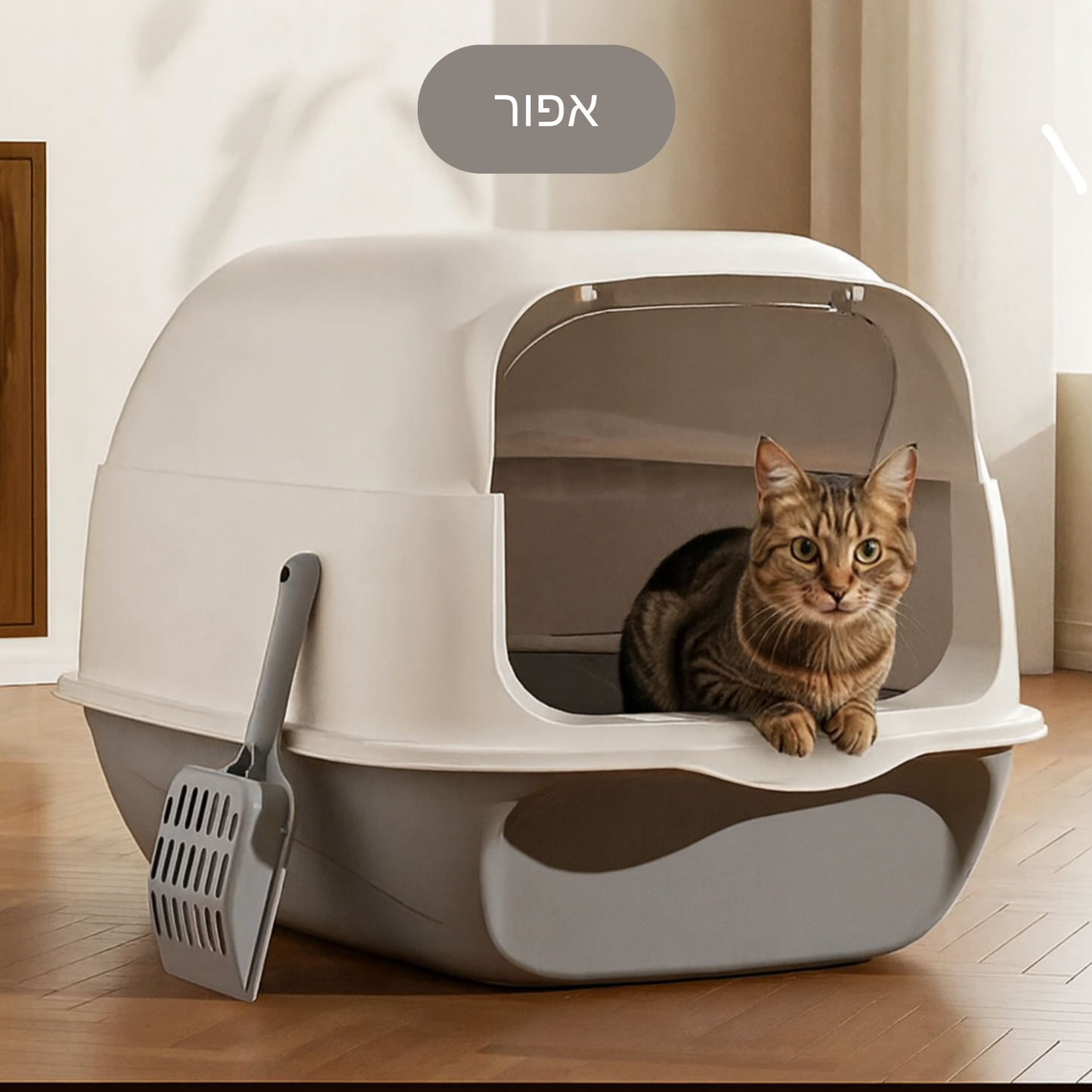 ארגז חול מצוב - וסגור! 