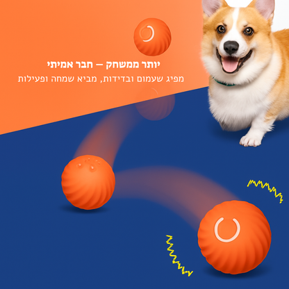 כדור קופצני חכם 
