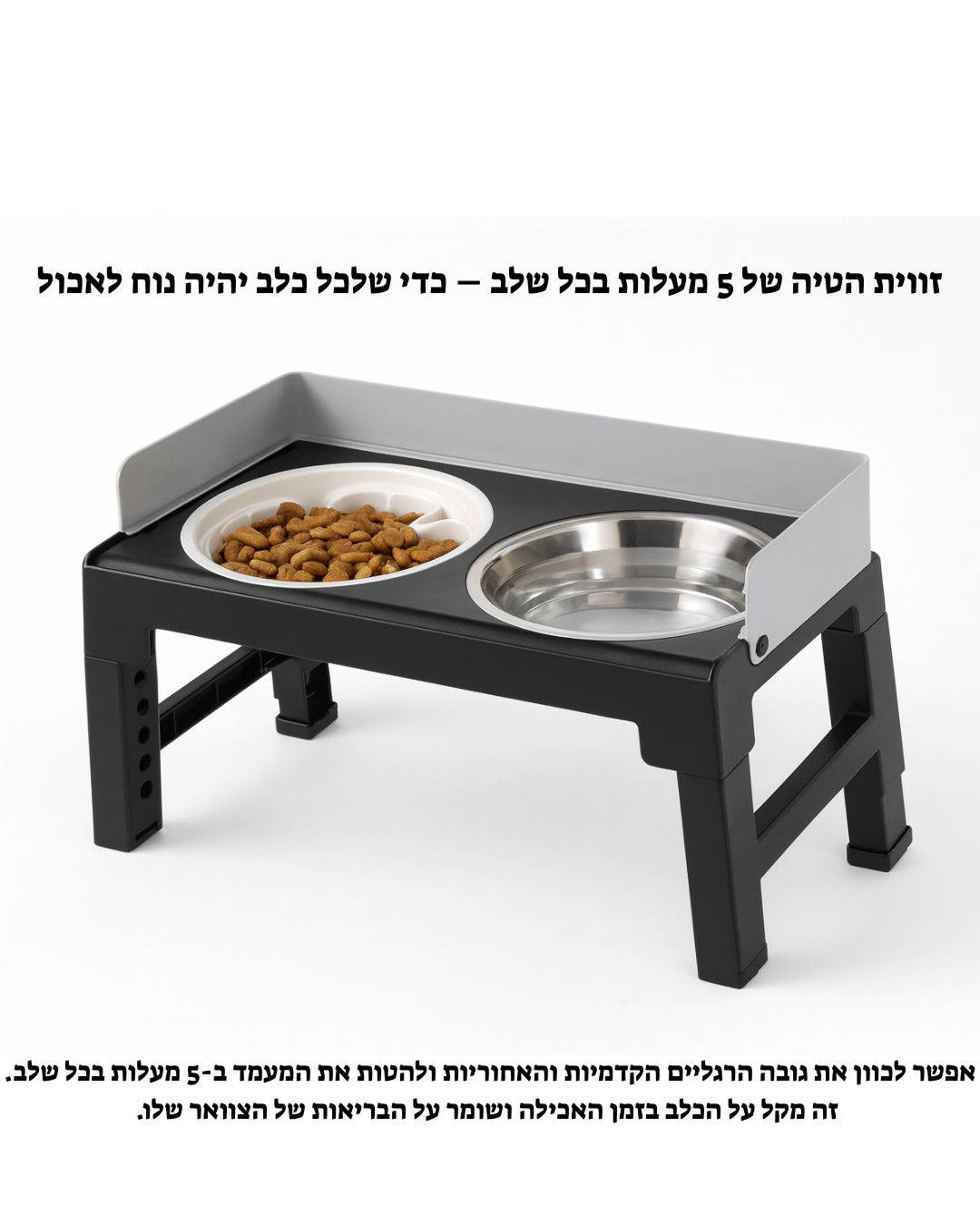 תחנת האכלה מתכונת – אוכל ומים לכלבים