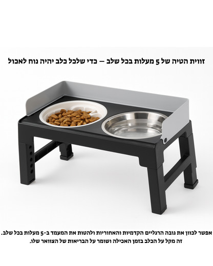 תחנת האכלה מתכונת – אוכל ומים לכלבים