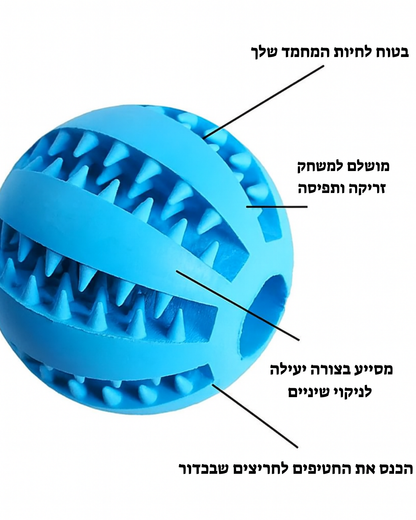 צעצוע האכלה בצורת כדור