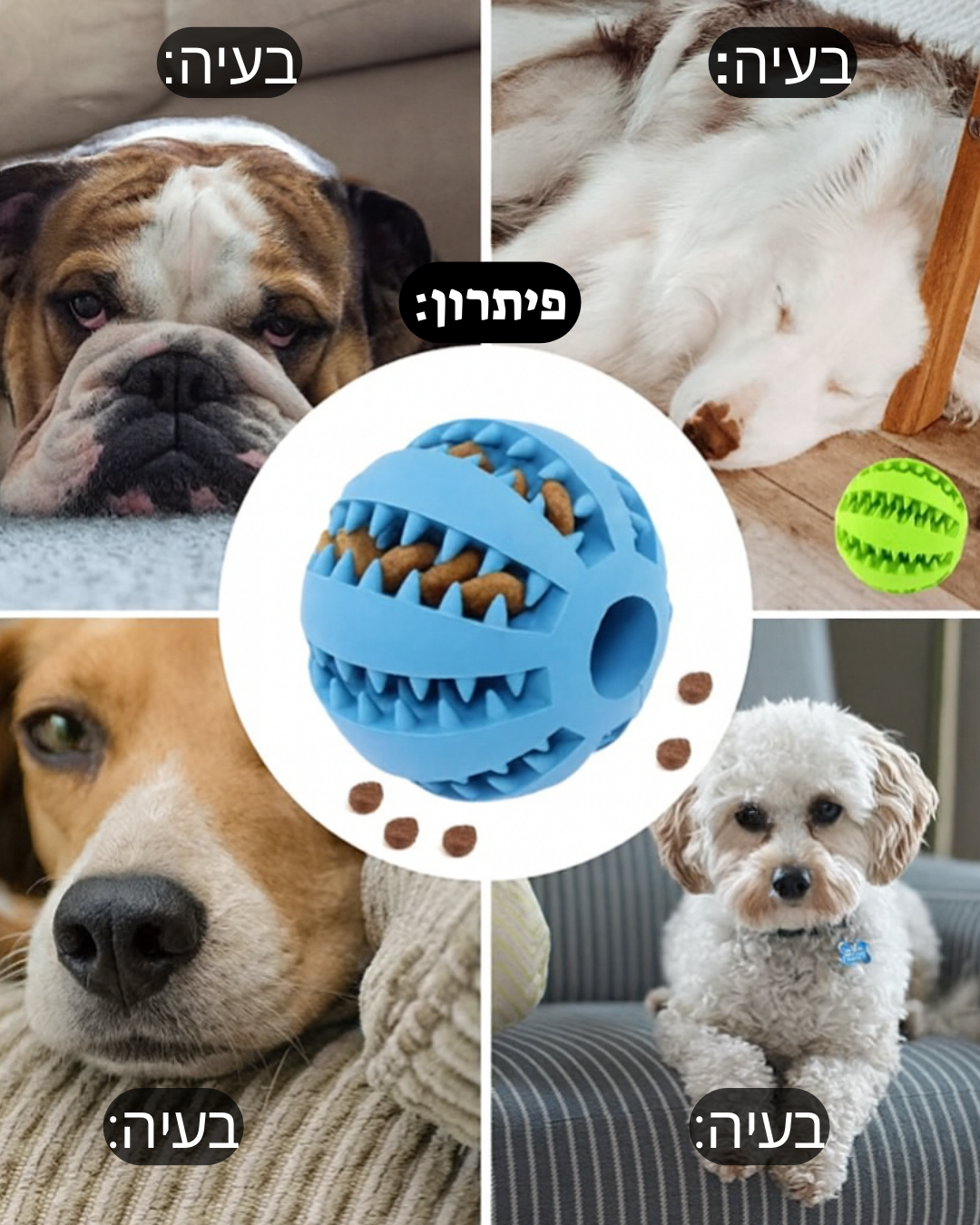 צעצוע האכלה בצורת כדור