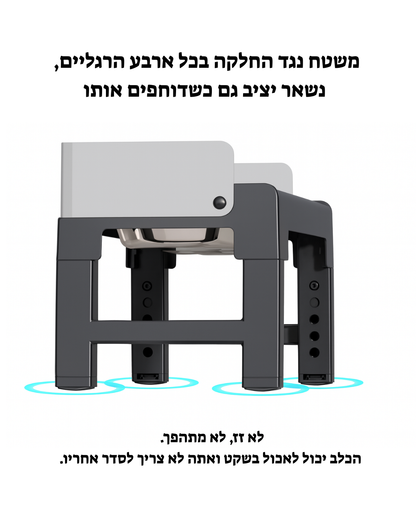 תחנת האכלה מתכונת – אוכל ומים לכלבים