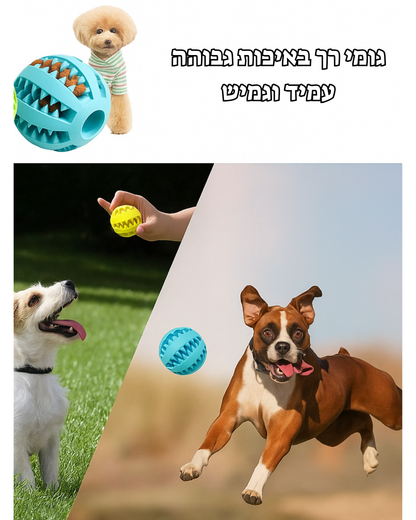 צעצוע האכלה בצורת כדור