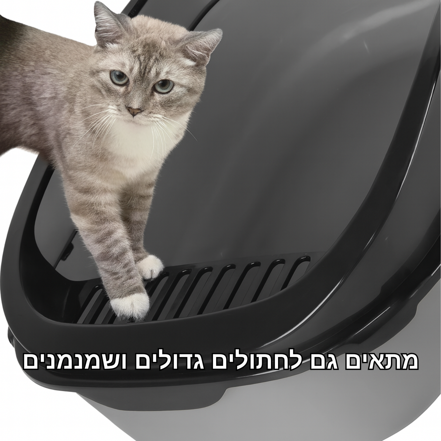 ארגז חול מעוצב - תוספת כף 