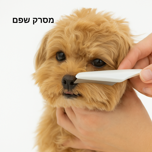 פבלו אסקובר - מסרק לשפם 