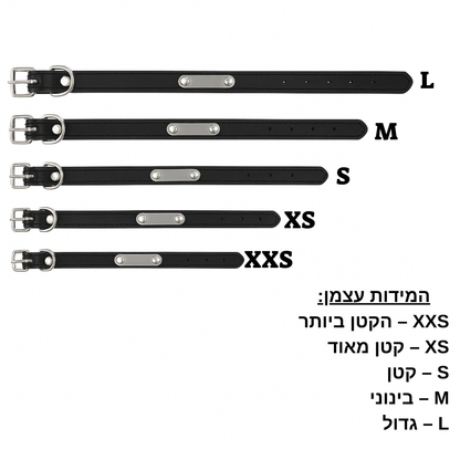קולר בעיצוב אישי לכלבך אישי אישי אישי