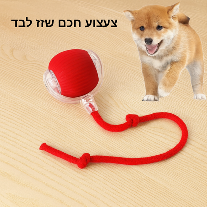 כדור חשמלי חכם 