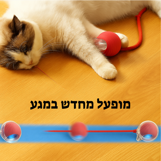כדור חשמלי חכם 