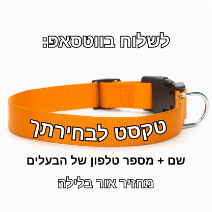 קולר אישי - שם ומספר 