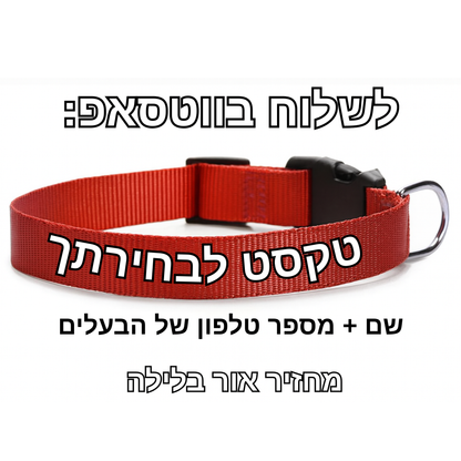 קולר אישי - שם ומספר 