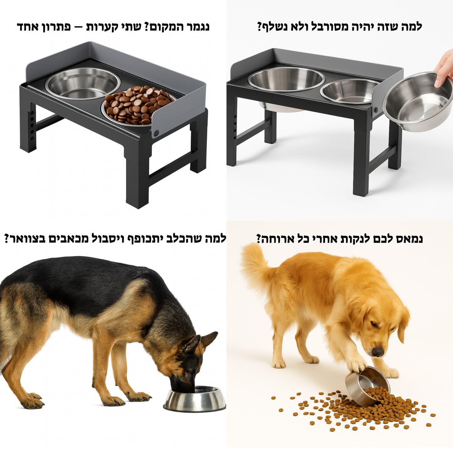 תחנת האכלה מתכונת – אוכל ומים לכלבים