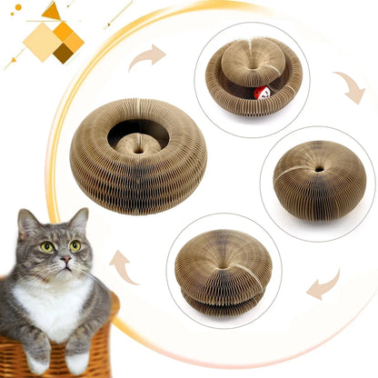 לוח גירוד לחתולים 